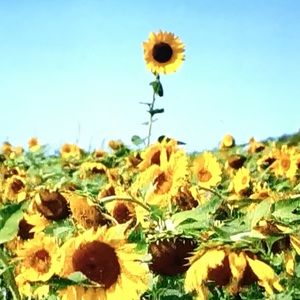 Meet your Posher, Reid